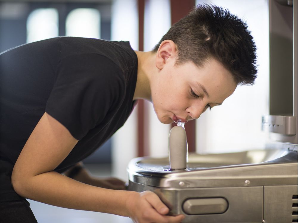 Bebederos de Agua para Colegios y Universidades